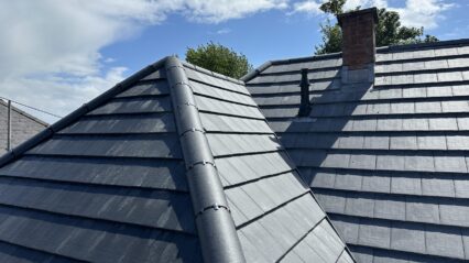 Pitched Roof Maintenance and Construction Explained